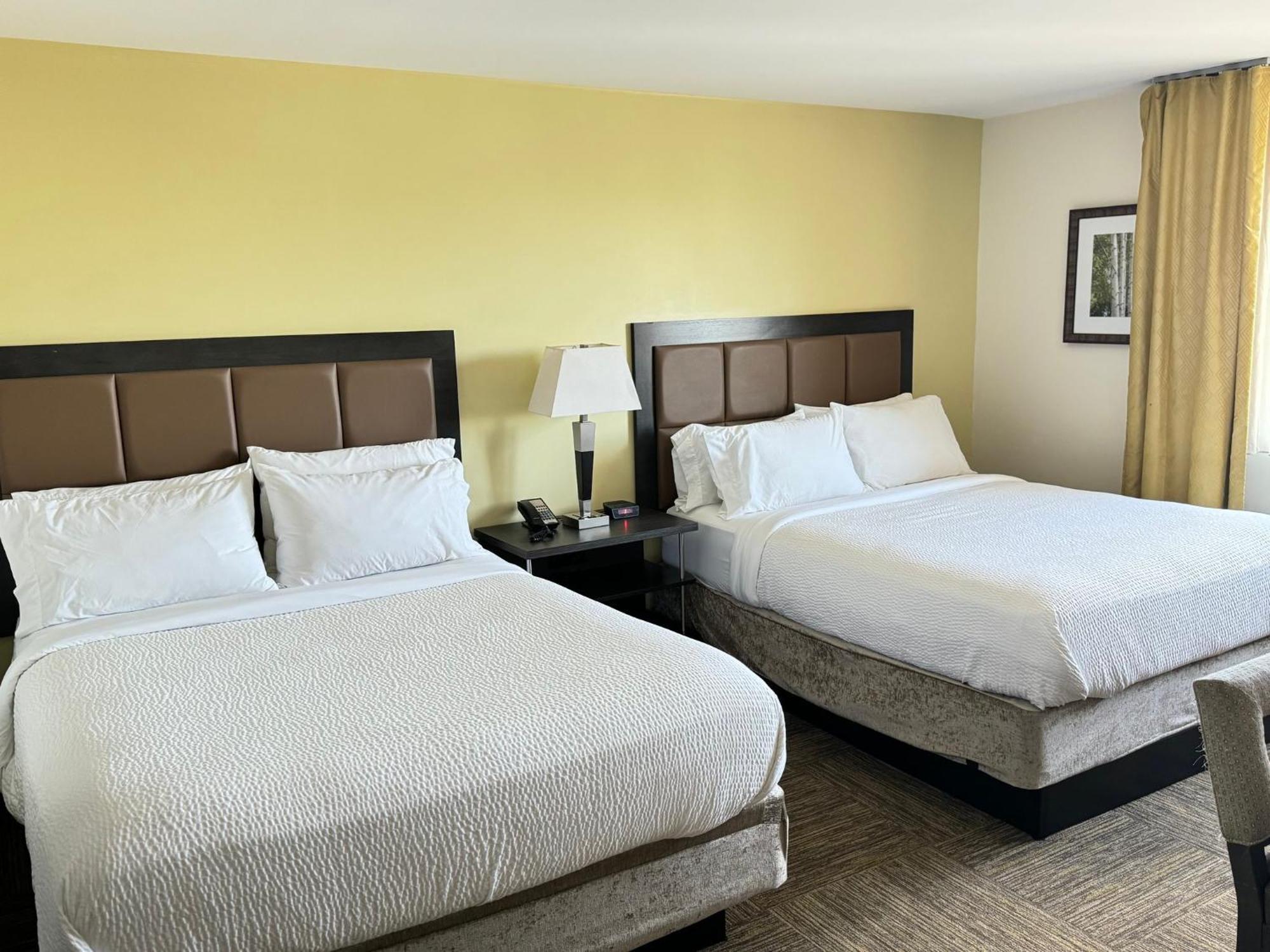 צ'סטר Candlewood Suites Philadelphia - Airport Area By Ihg מראה חיצוני תמונה