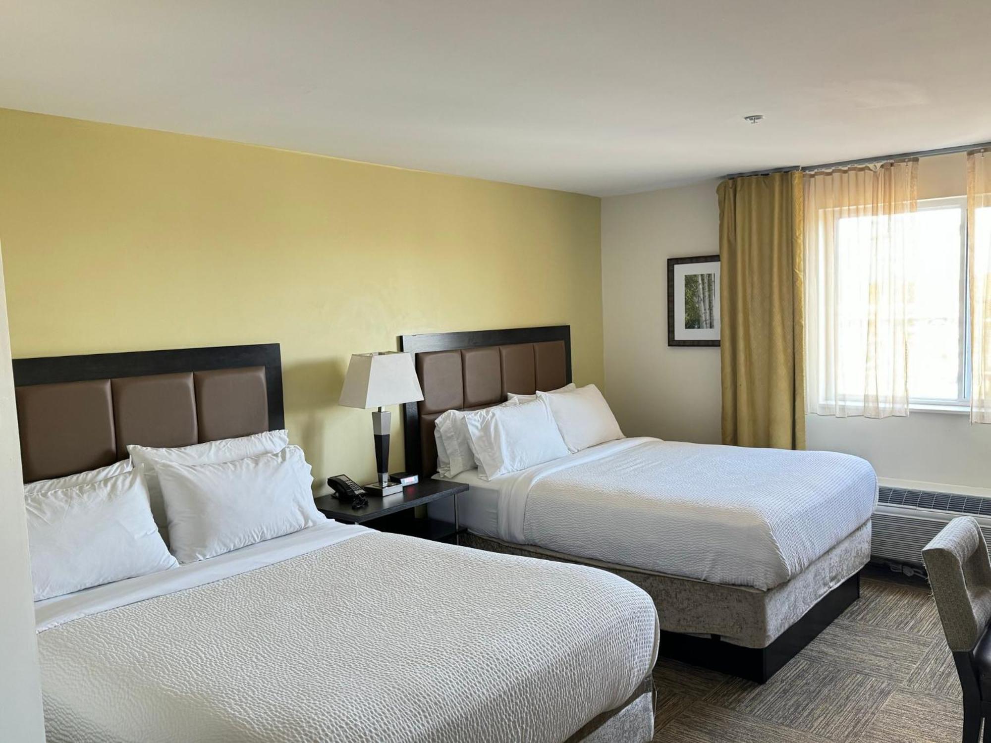 צ'סטר Candlewood Suites Philadelphia - Airport Area By Ihg מראה חיצוני תמונה