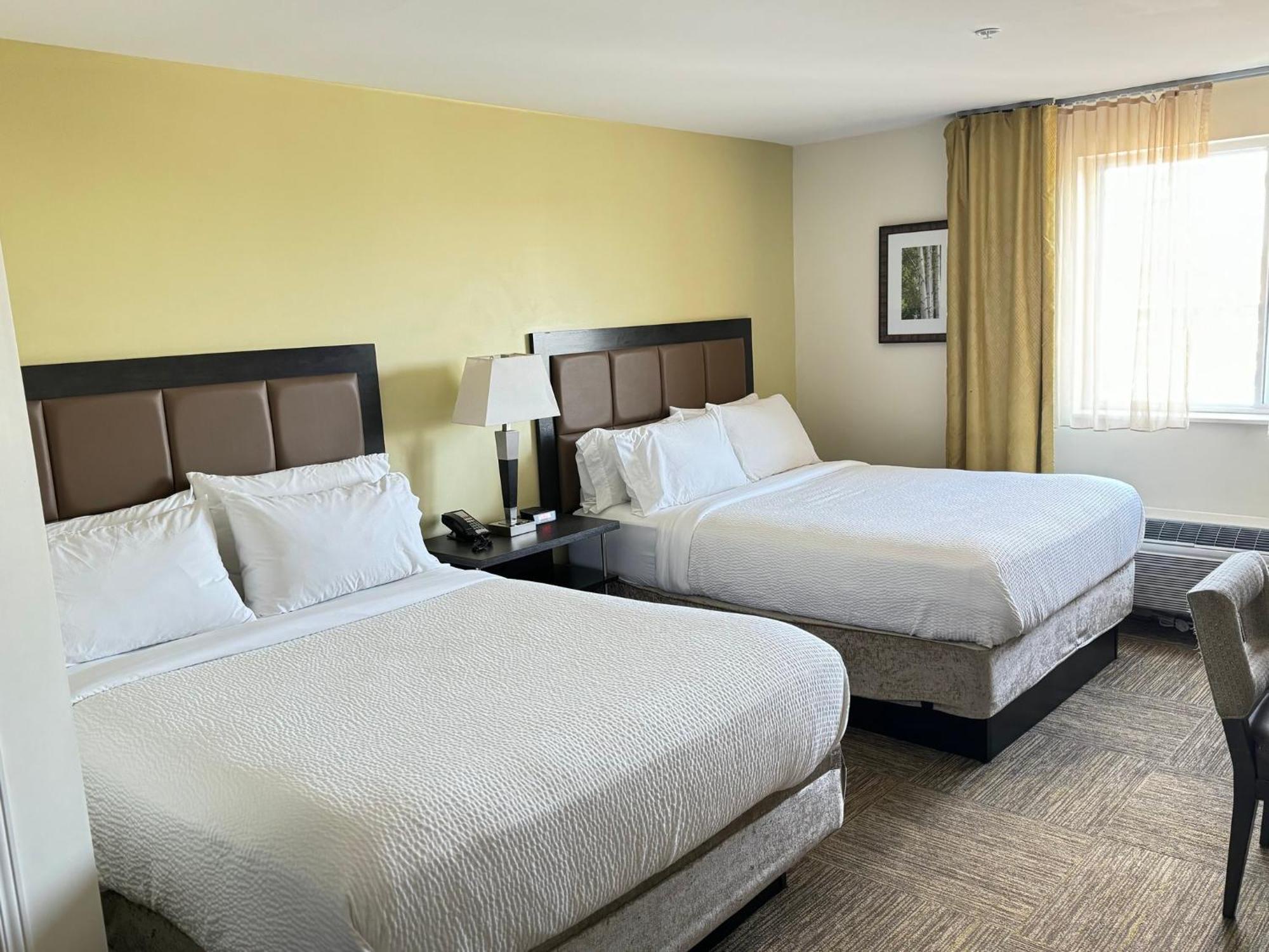 צ'סטר Candlewood Suites Philadelphia - Airport Area By Ihg מראה חיצוני תמונה